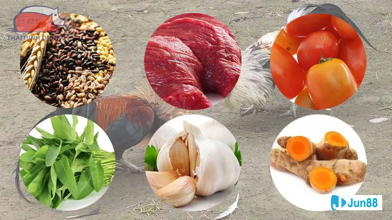 độ ẩm và nhiệt độ Độ ẩm và nhiệt độ